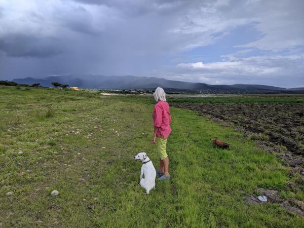 Patricia (bogert) Miller