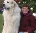 Donna Sheldrick Anderson