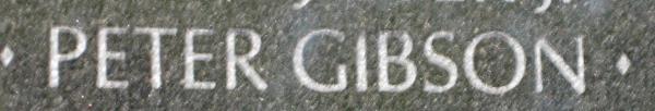 Peter Gibson
