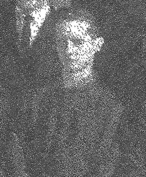 Leonard M. Haskins