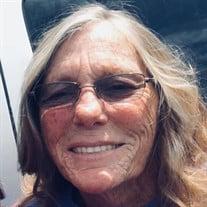 Vicki L Lunn Zink