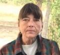 Sue Ann Green