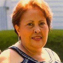 Damary (vega) Rosa