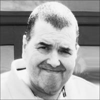 Domenic J. Dimare