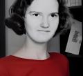 Norine Lois Joy