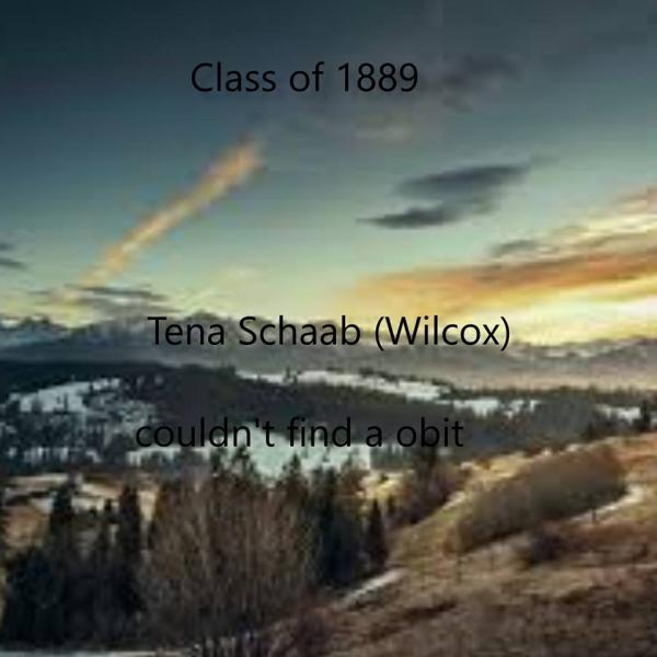 Tena Schaab Wilcox (1889)