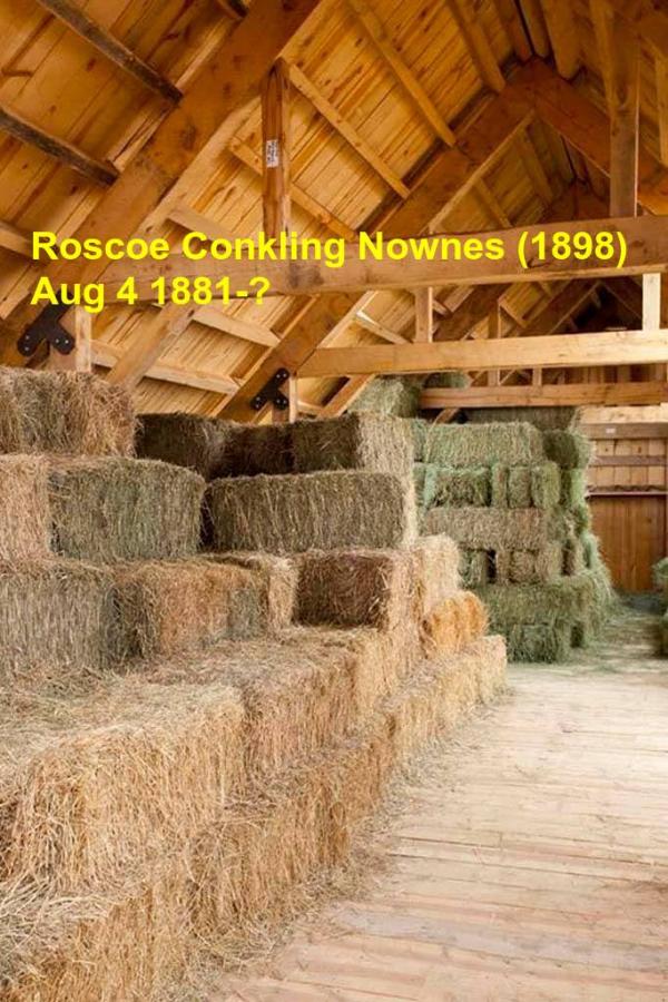 Roscoe Conkling Nownes (1898)