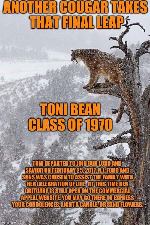 Toni Bean