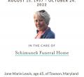 Jane M Zorn (lewis)
