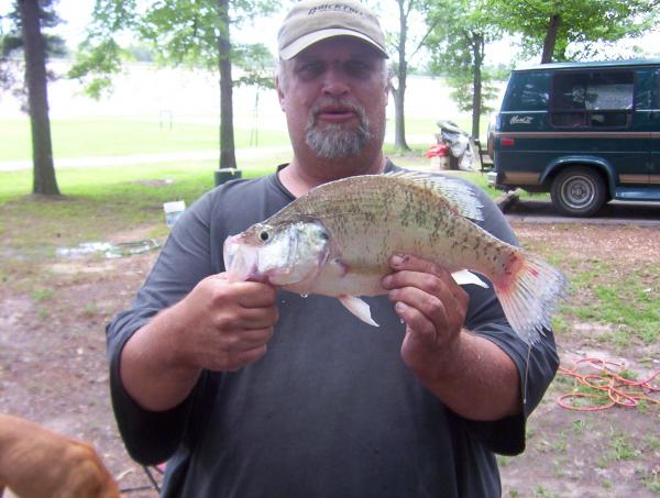 Bill Haughenbury