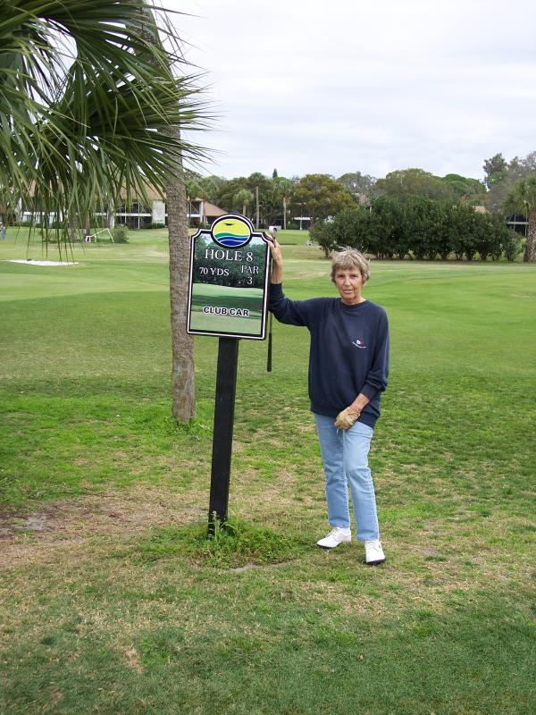 Diane H. Olsen (hawksley)