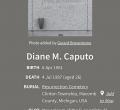 Diane M Caputo