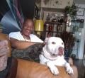 Ellis Ampy