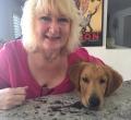 Gail Evans