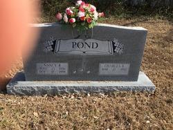 Nancy Garrett (pond)